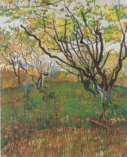 Vincent Van Gogh Flowering Orchard china oil painting image